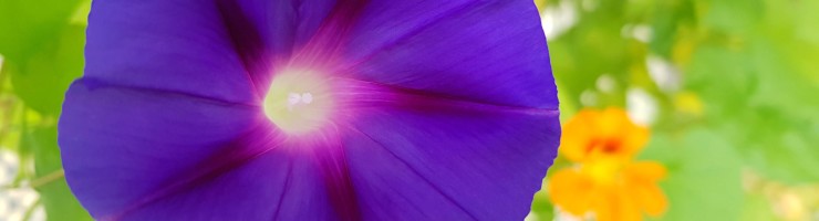 20190829_090232